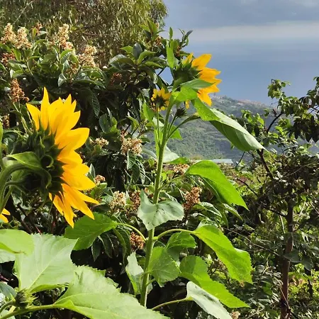 Casa De Basalto Канису