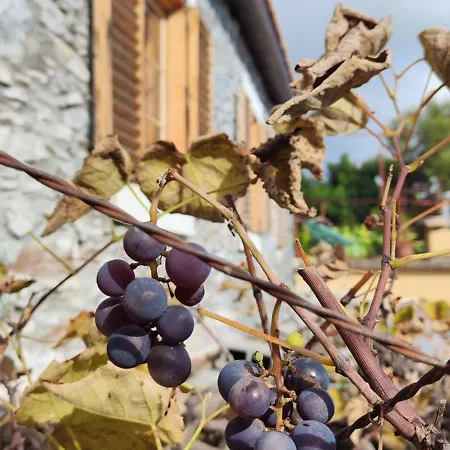 Casa De Basalto Caniço