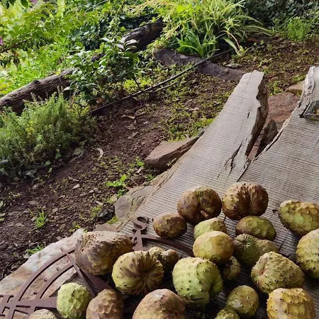 Casa De Basalto Alojamento de Acomodação e Pequeno-almoço Caniço