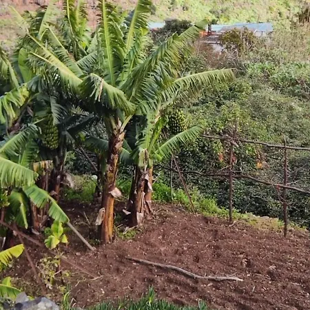 Alojamento de Acomodação e Pequeno-almoço Casa De Basalto