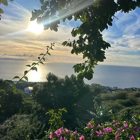 Alojamento de Acomodação e Pequeno-almoço Casa De Basalto Caniço