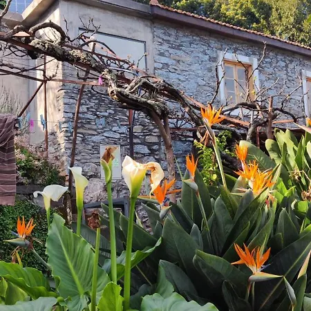Alojamento de Acomodação e Pequeno-almoço Casa De Basalto