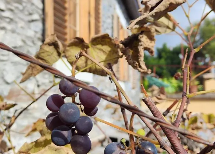 Casa De Basalto Canico (Madeira)