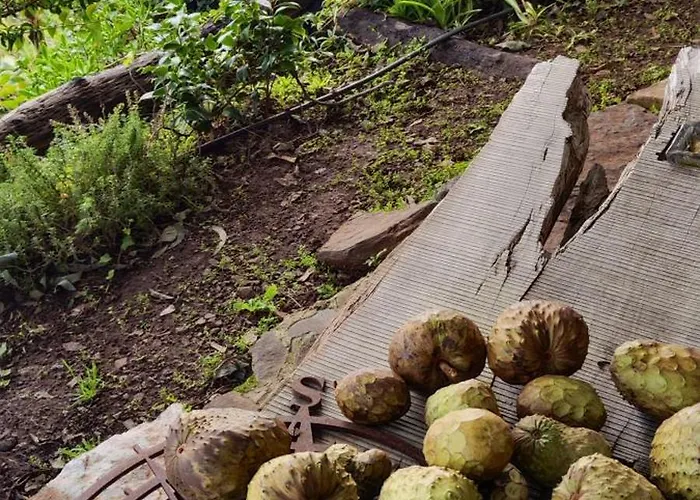 Casa De Basalto Bed & Breakfast Canico (Madeira)