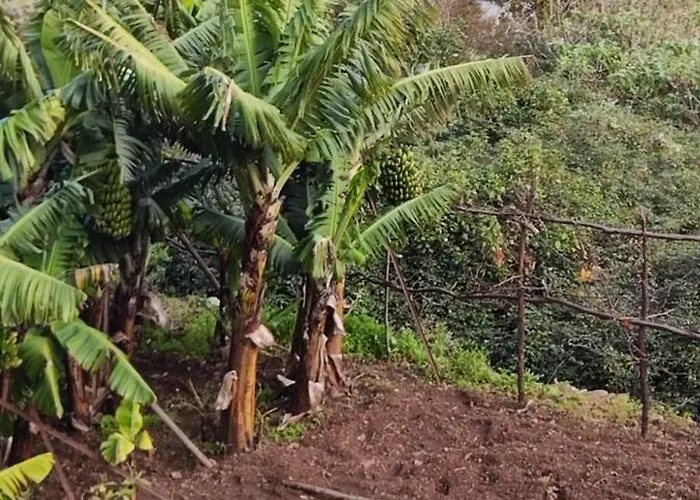 Bed and breakfast Casa De Basalto