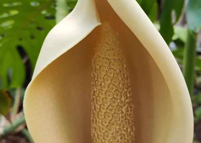 Casa De Basalto Bed & Breakfast