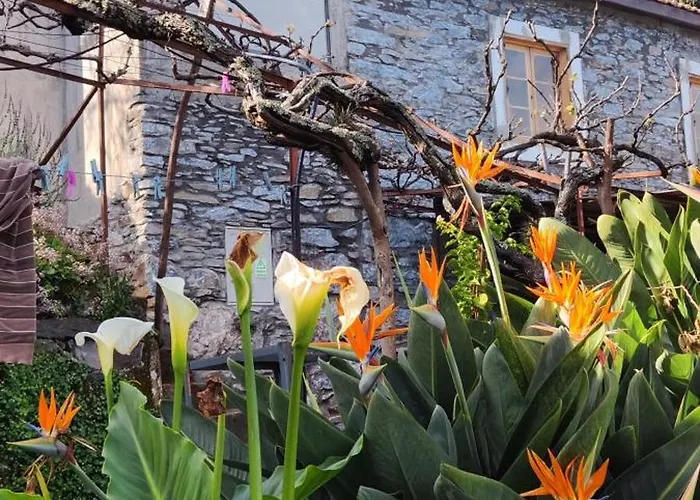 Bed and breakfast Casa De Basalto